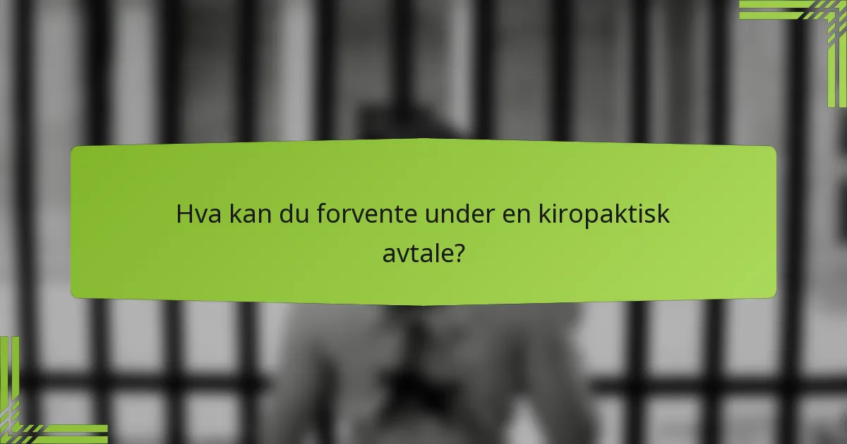 Hva kan du forvente under en kiropaktisk avtale?